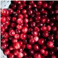 Cranberry Extract